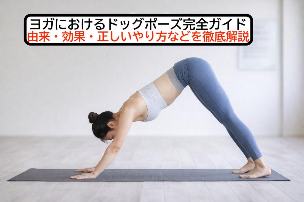 画像2544