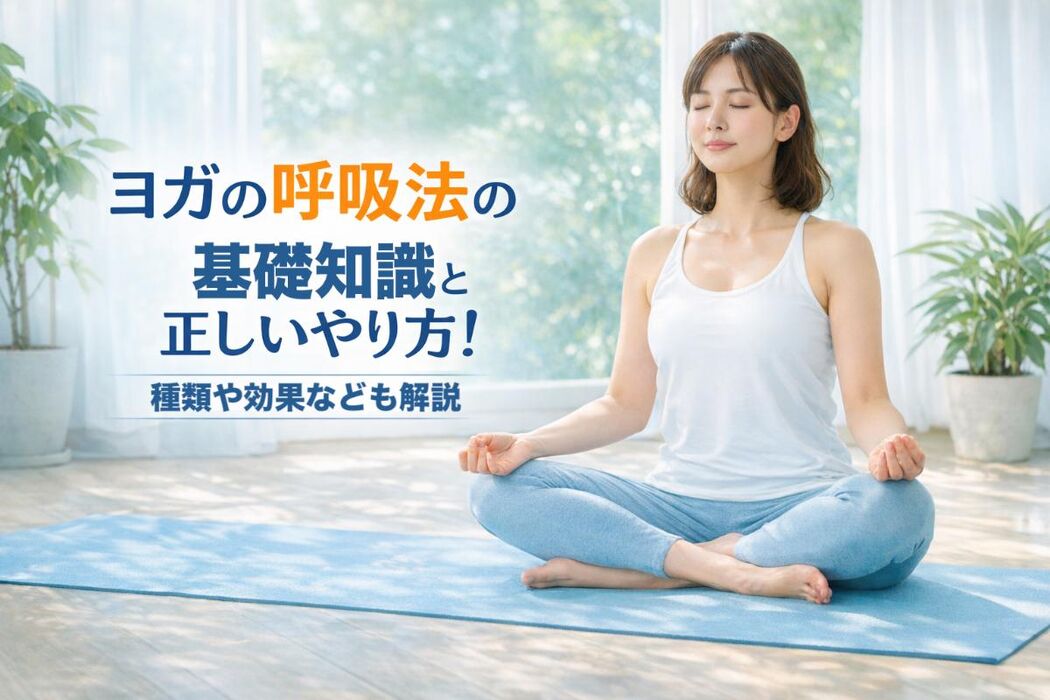 画像2597