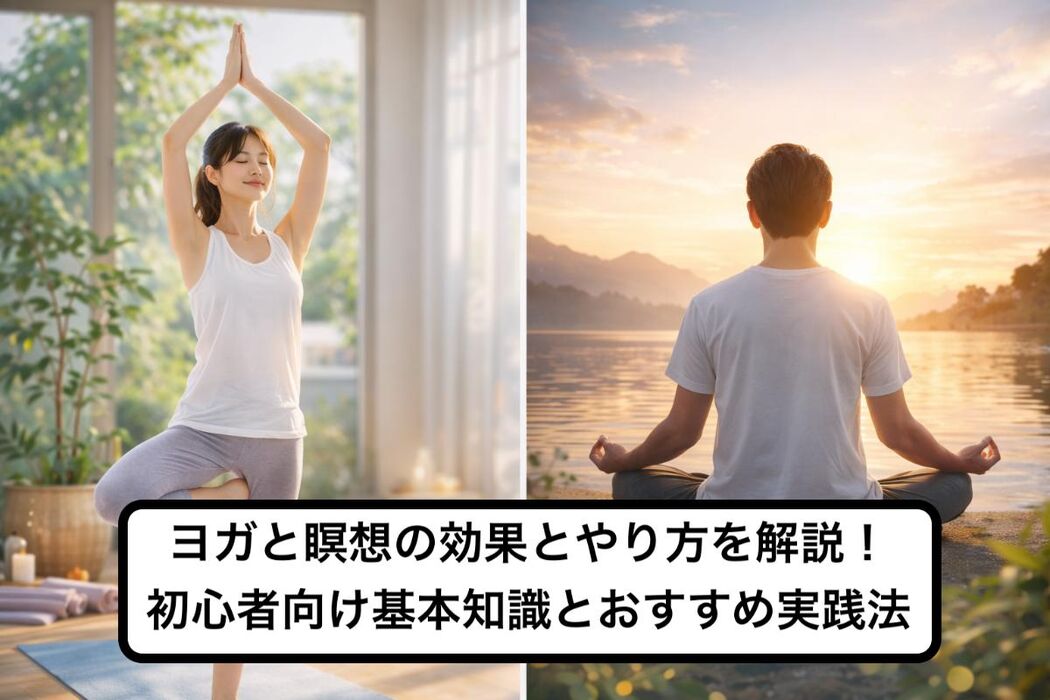 画像2679