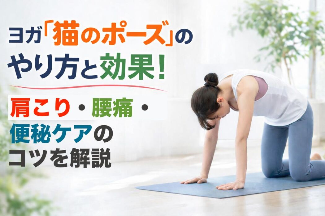画像2789